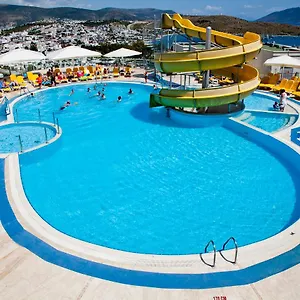 book here
